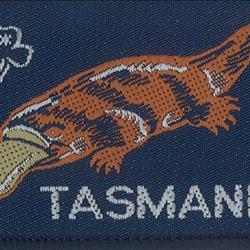 Tasmanian State Platypus