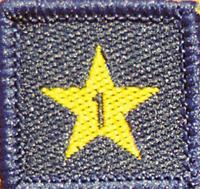 Membership Year Star Badge - 1