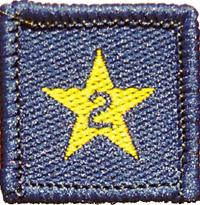 Membership Year Star Badge - 2