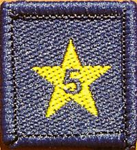 Membership Year Star Badge - 5