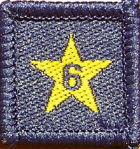 Membership Year Star Badge - 6
