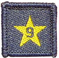 Membership Year Star Badge - 9