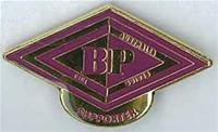 B.P Supporters pin
