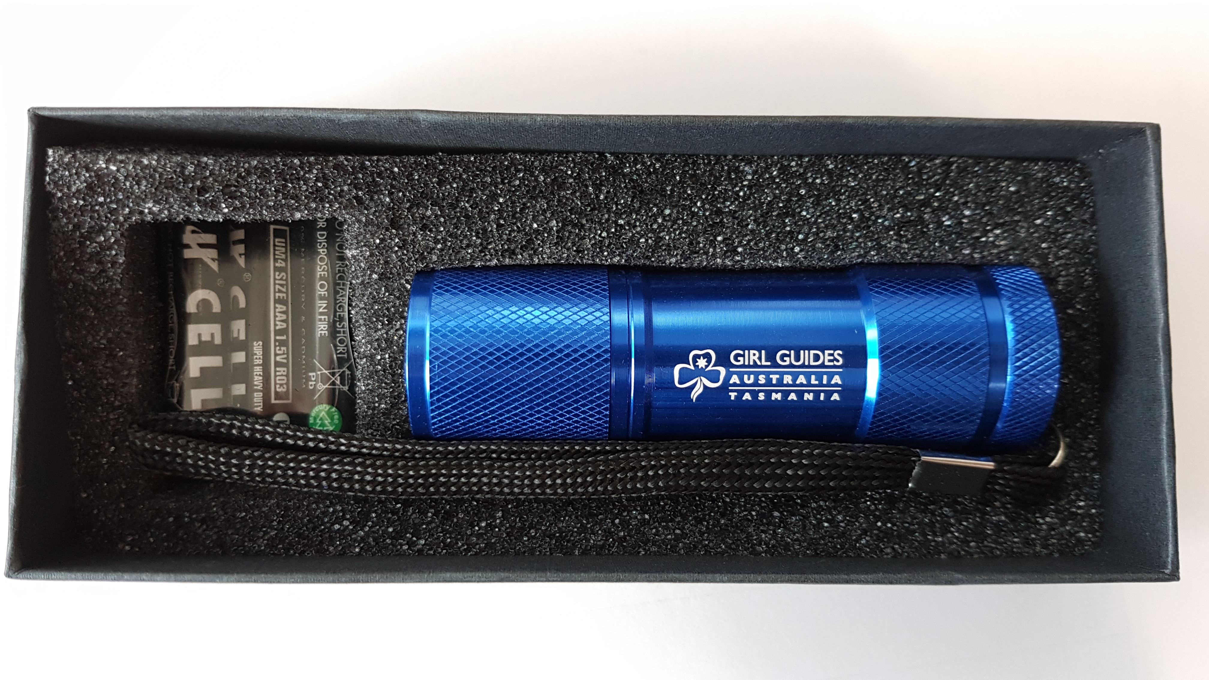 Blue GGT logo torches